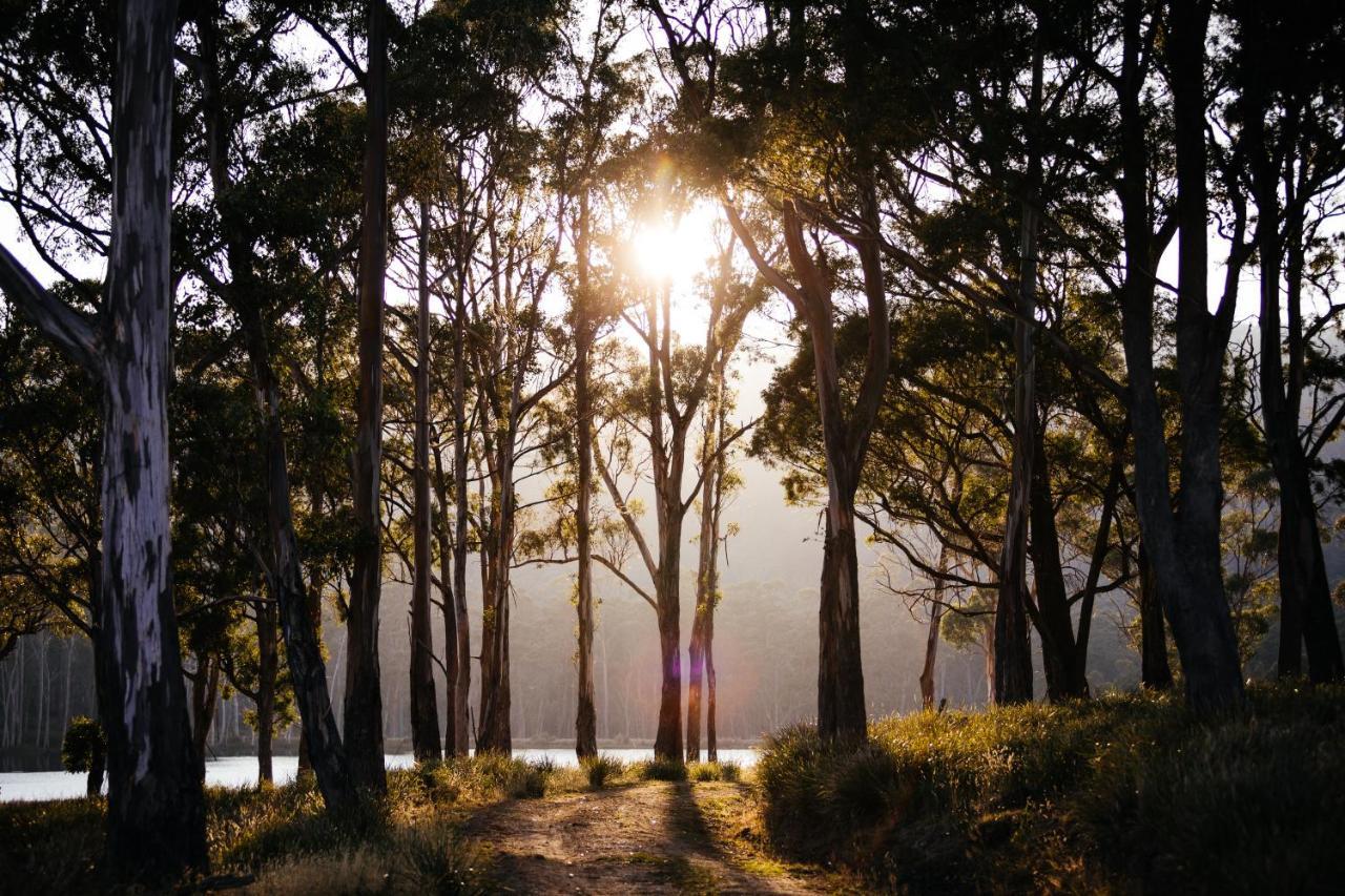Currawong Lakes Tasmania Lake Leake Ngoại thất bức ảnh